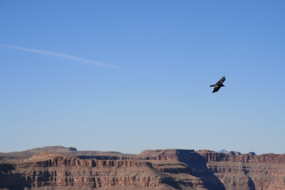 Grand Canyon West